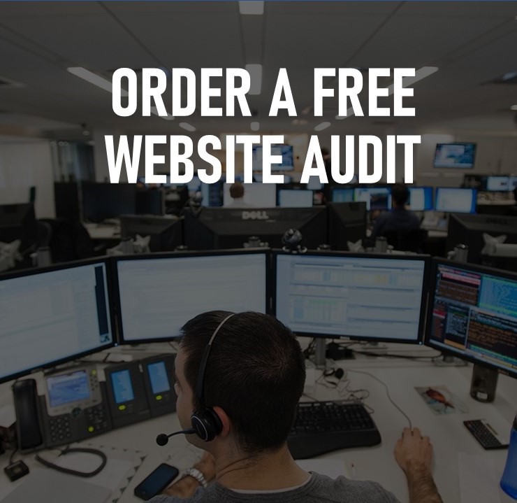 Website Audit