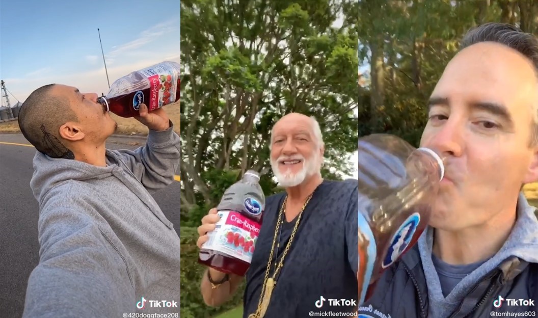 Ocean Spray TikTok